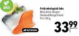 CITTI Markt Frisk økologisk laks Angebot