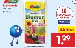 Netto Marken-Discount Blumenerde Angebot