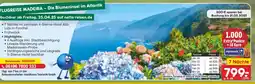 Netto Marken-Discount Flugreise madeira – die blumeninsel im atlantik Angebot