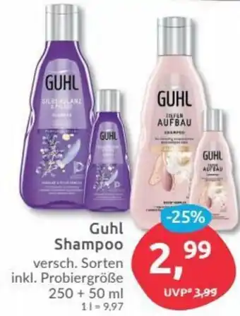 Budni Guhl Shampoo Versch. Sorten Inkl. Probiergröße 250 + 50 ml Angebot