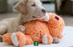Fressnapf AniOne Pepe & Kitty Hundespielzeug Angebot