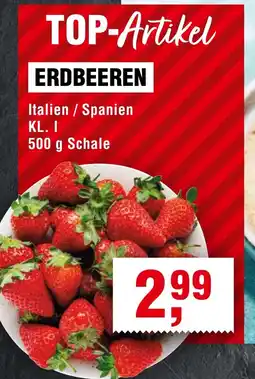 Handelshof Erdbeeren Angebot