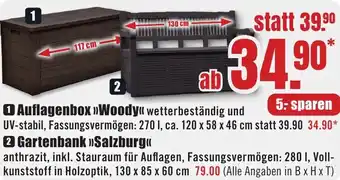 B1 Discount Baumarkt Auflagenbox Woody Angebot