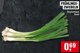 Handelshof Frühlingszwiebeln Angebot
