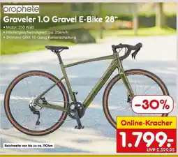 Netto Marken-Discount Graveler 1.0 Gravel E-Bike 28“ Angebot