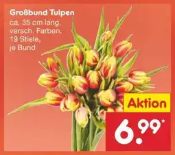 Netto Marken-Discount Großbund Tulpen Angebot