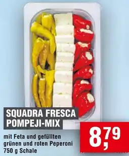 Handelshof Squadra fresca pompeji-mix Angebot