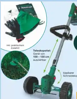 Netto Marken-Discount Hammersmith Akku-Trimmer Multi Wizard Angebot
