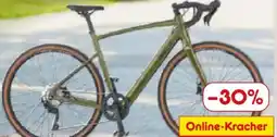 Netto Marken-Discount Prophete 1.0 Speed E-Graveler Angebot