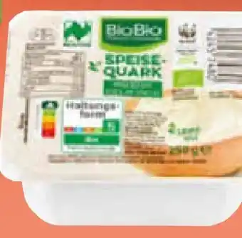 Netto Marken-Discount BioBio Bio Speisequark Angebot