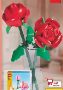 Netto Marken-Discount LEGO Creator Rosen Angebot