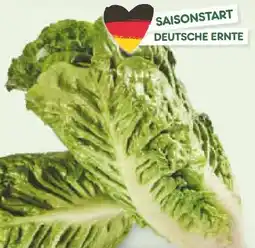 Netto Marken-Discount Heimat Mini Romanasalat Angebot