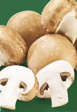 Netto Marken-Discount BioBio Bio Champignon Angebot