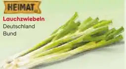 Netto Marken-Discount Heimat Lauchzwiebeln Angebot