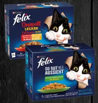 REWE Purina Felix Katzennahrung Angebot