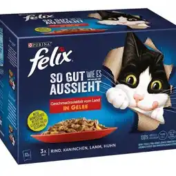Netto Marken-Discount Purina Felix Katzennahrung Multipack Angebot