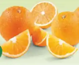 Netto Marken-Discount Lieblings Orangen Angebot
