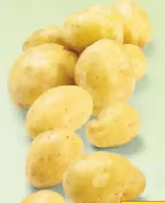Netto Marken-Discount Heimat Speisekartoffeln Angebot