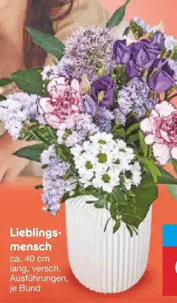 Netto Marken-Discount Lieblingsmensch Angebot