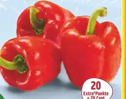 Netto Marken-Discount MarktTag Rote Spitzpaprika Angebot