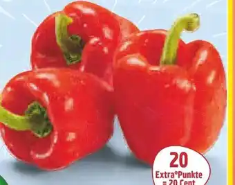 Netto Marken-Discount MarktTag Rote Spitzpaprika Angebot
