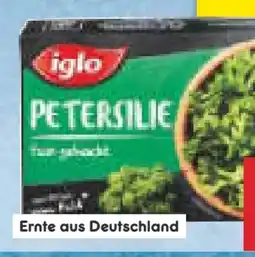 Netto Marken-Discount Iglo Petersilie Angebot