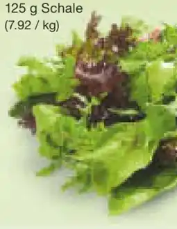 Netto Marken-Discount Pflücksalat Angebot