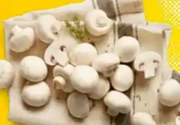Kaufland Kulturchampignons weiß Angebot
