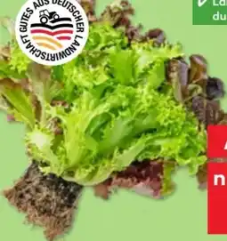 Kaufland Multicolorsalat Angebot
