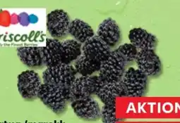 Kaufland Driscoll's Brombeeren Angebot