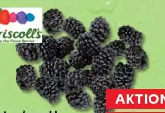 Kaufland Driscoll's Brombeeren Angebot