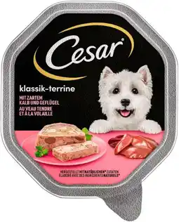 Kaufland Cesar Hundenahrung Angebot