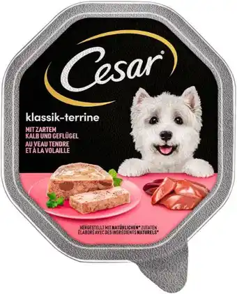 Kaufland Cesar Hundenahrung Angebot