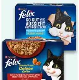 Kaufland Purina Felix Katzennahrung So gut wie es aussieht Angebot