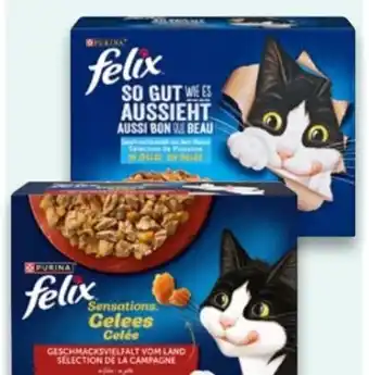 Kaufland Purina Felix Katzennahrung So gut wie es aussieht Angebot