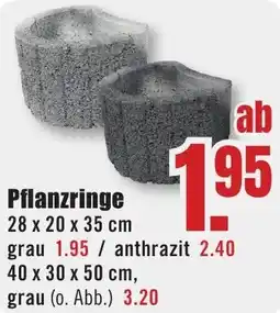 B1 Discount Baumarkt Pflanzringe Angebot