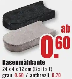 B1 Discount Baumarkt Rasenmähkante Angebot
