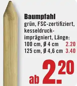 B1 Discount Baumarkt Baumpfahl Angebot