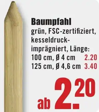B1 Discount Baumarkt Baumpfahl Angebot