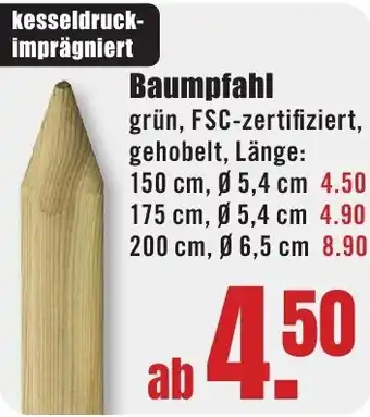 B1 Discount Baumarkt Baumpfahl Angebot