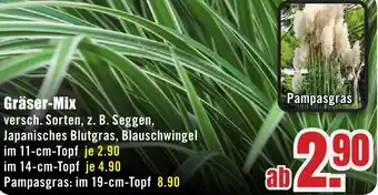 B1 Discount Baumarkt Gräser-Mix Angebot