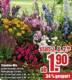 B1 Discount Baumarkt Stauden-Mix Angebot