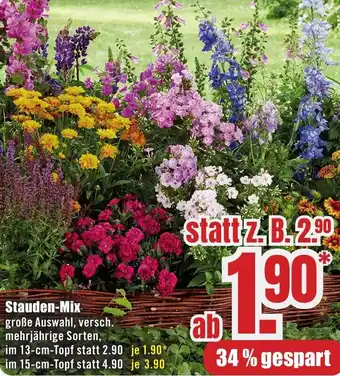 B1 Discount Baumarkt Stauden-Mix Angebot