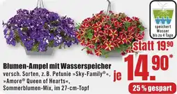 B1 Discount Baumarkt Blumen-Ampel mit Wasserspeicher Angebot