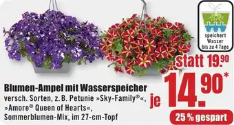 B1 Discount Baumarkt Blumen-Ampel mit Wasserspeicher Angebot