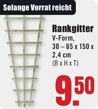 B1 Discount Baumarkt Rankgitter Angebot