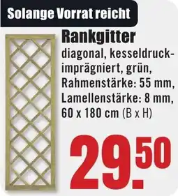 B1 Discount Baumarkt Rankgitter Angebot