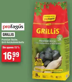 Handelshof Profagus grillis Angebot