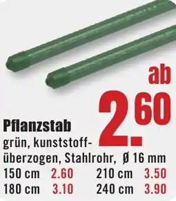 B1 Discount Baumarkt Pflanzstab Angebot