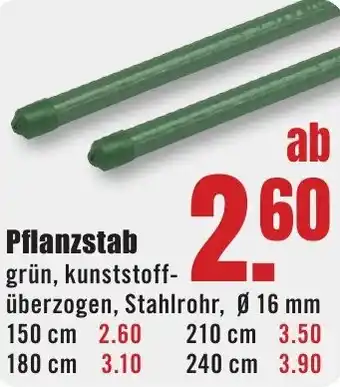 B1 Discount Baumarkt Pflanzstab Angebot